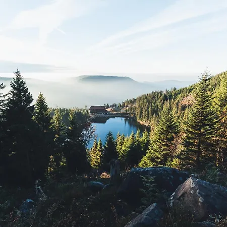 Διαμέρισμα Schusterjunge A6 3*